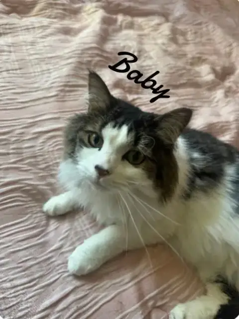 Chomp & Baby photo 2