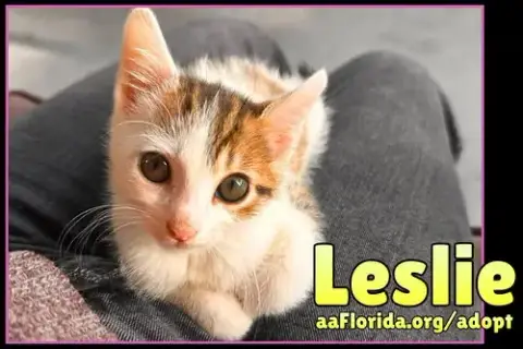 Leslie