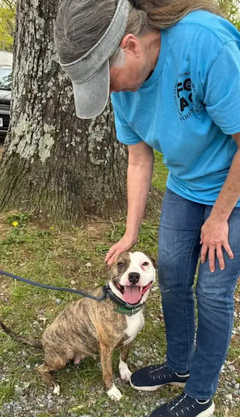 Zoey: At Shelter photo 2