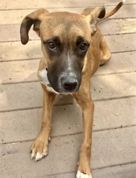 Willow photo 4