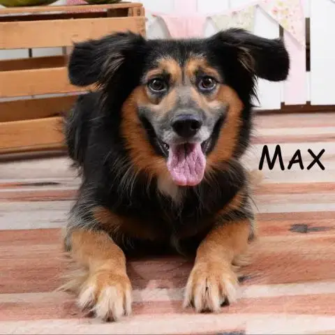 Max