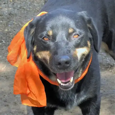 Jed photo 4