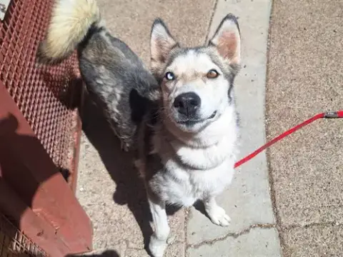 Luna