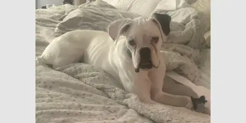 Oaklee