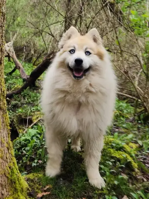 Bear Kendall photo 3