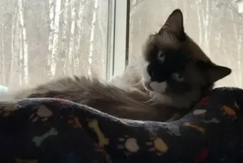 Dakota photo 3