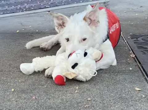 Casper photo 4
