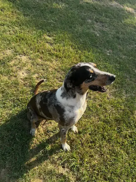 Shirley photo 3