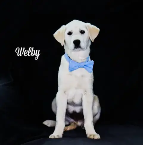 Welby