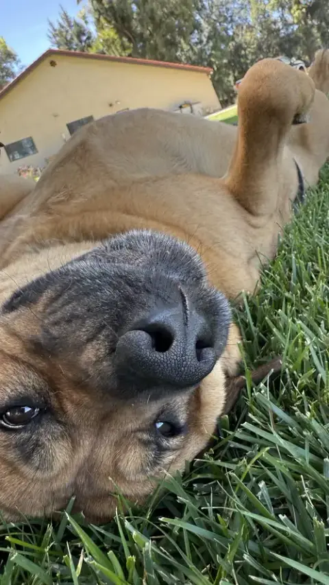 Bella photo 2