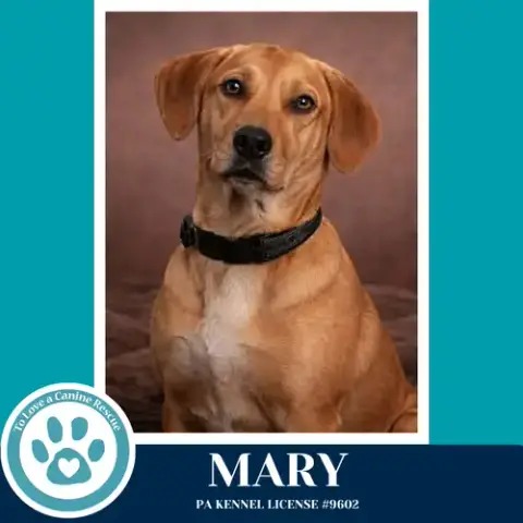 Mary 032826 photo 4