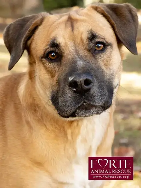 Josie photo 5