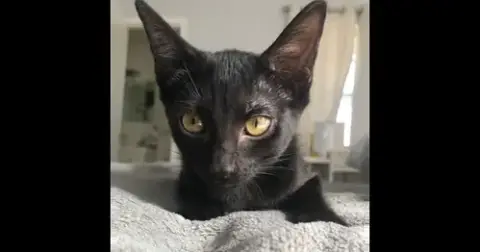 Isobel W