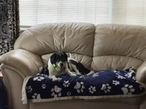 Milo