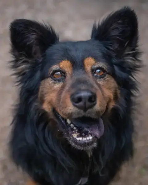 Karma photo 3