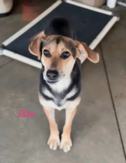 Gia photo 4