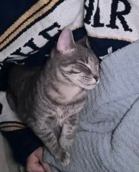 Remy photo 3