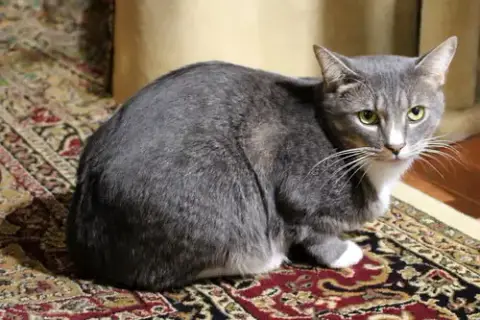 Furlow