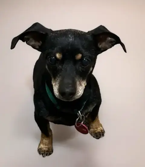 Waldo photo 4