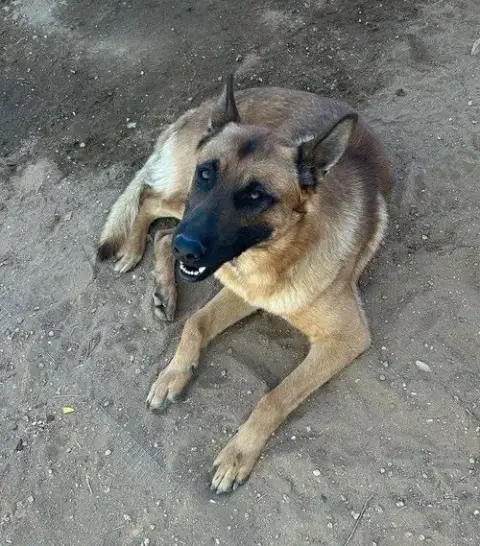 Angelito- In Foster Home photo 5