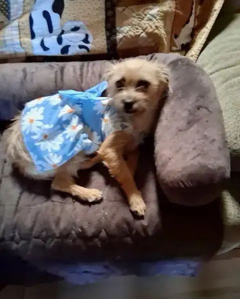 Nikki photo 3