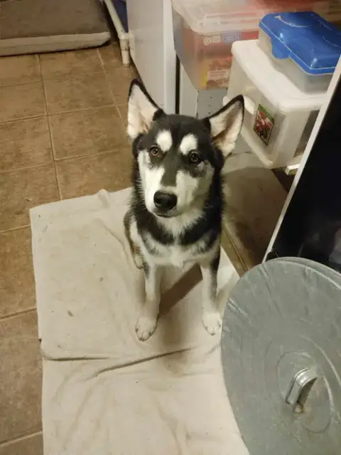 Nora