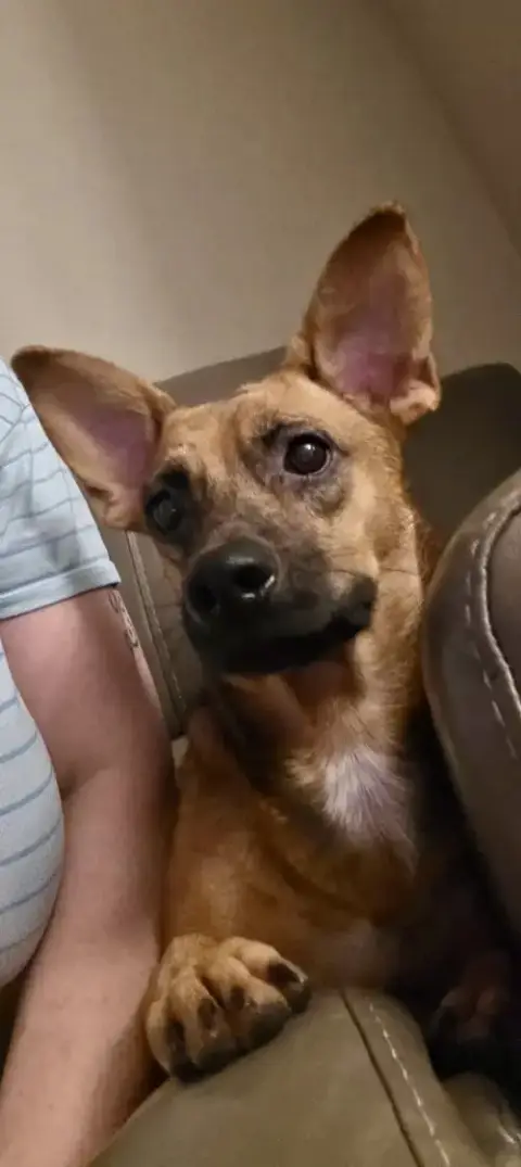 Yoda