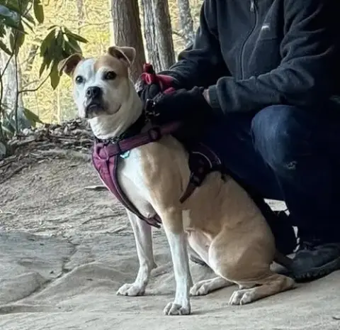 Tazzie photo 2