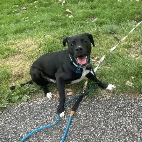 Luigi photo 4