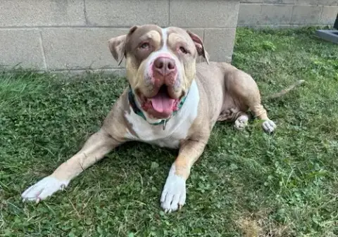 Marley
