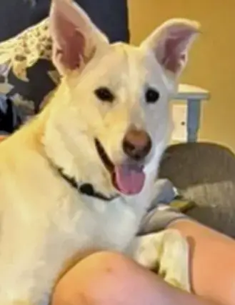 Winnie