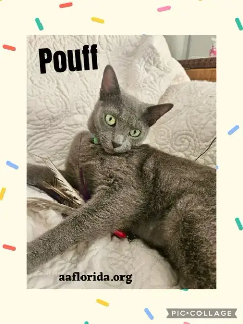 Pouff