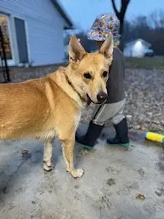 Sandy photo 2