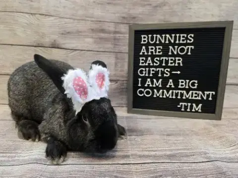 Tim