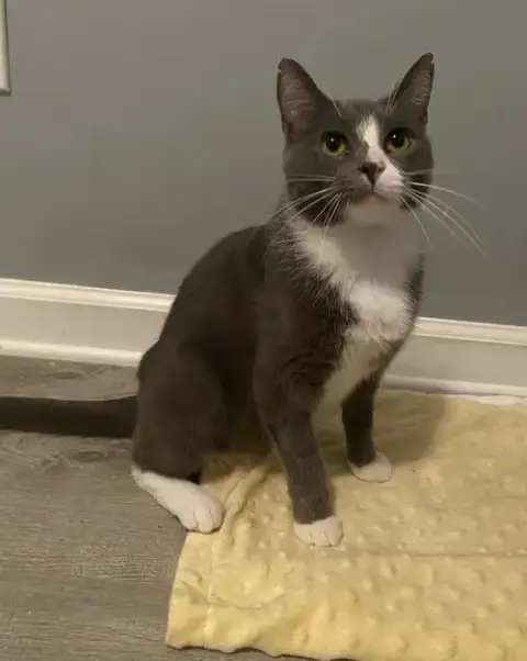 Jenny