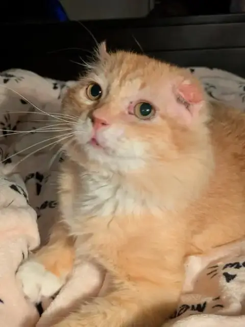 Walter Mcfluffy photo 3