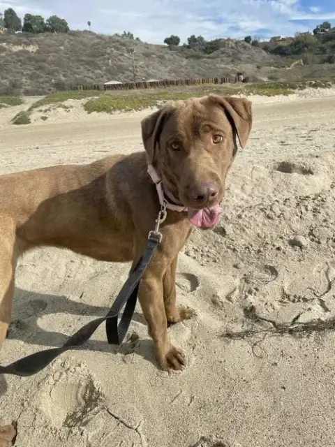 Delilah photo 5