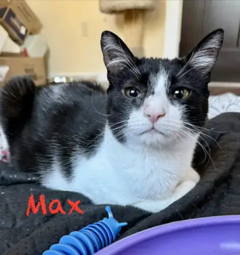 Max photo 2