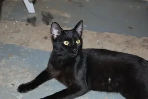 Otis photo 2