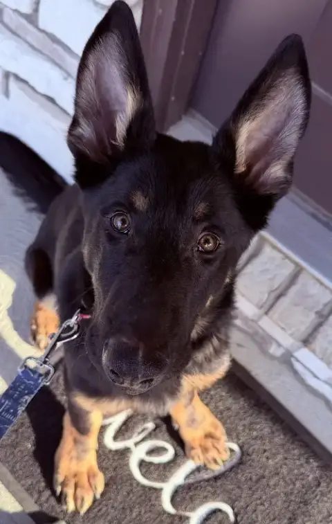 Loki Cool photo 2