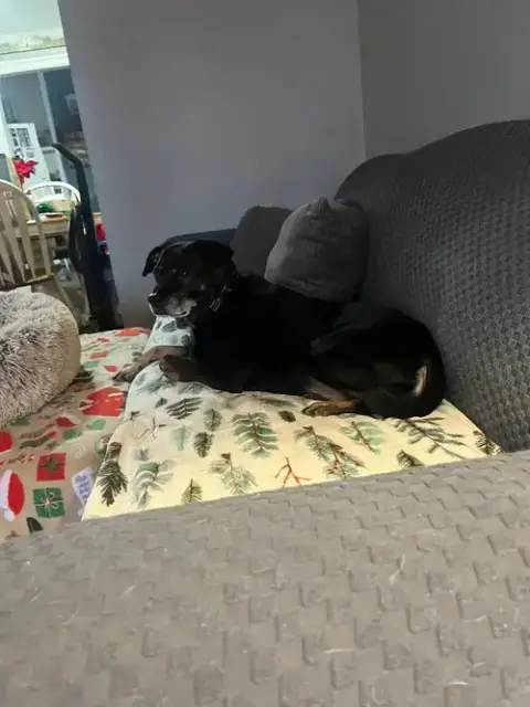 Chloe photo 3