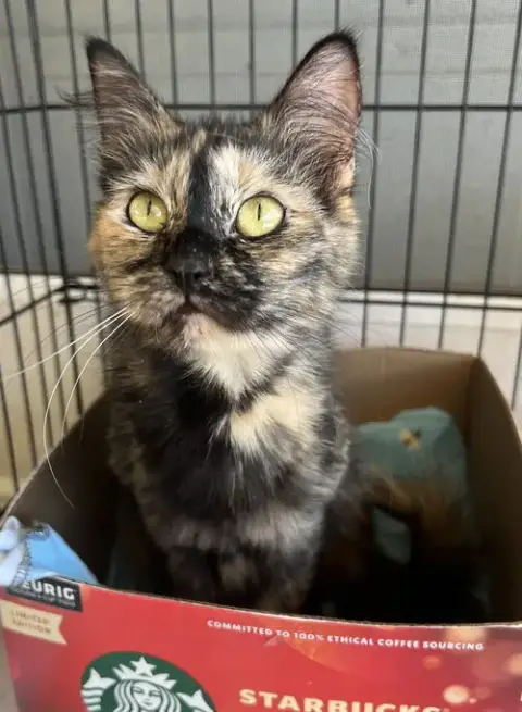 Delilah photo 2