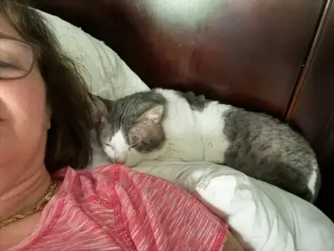 Sleepy photo 2