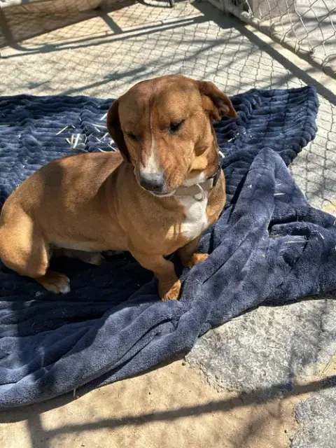 Buddy photo 4