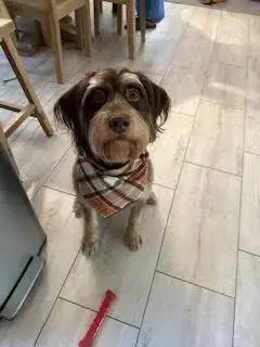 Bodie photo 2