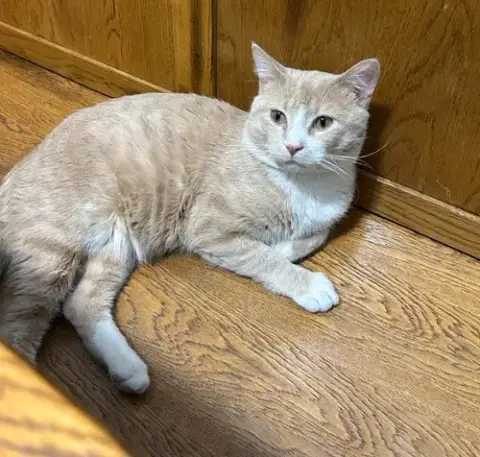 Little Dude