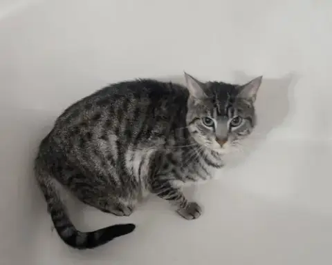 Ace Suits photo 3