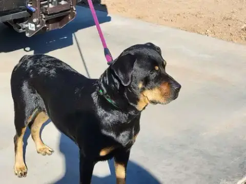 Oakley photo 2