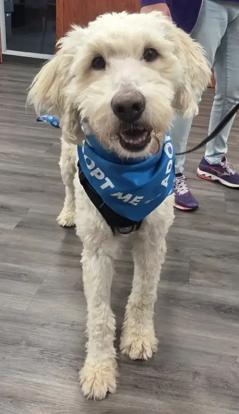 Garrett *Foster To Adopt*