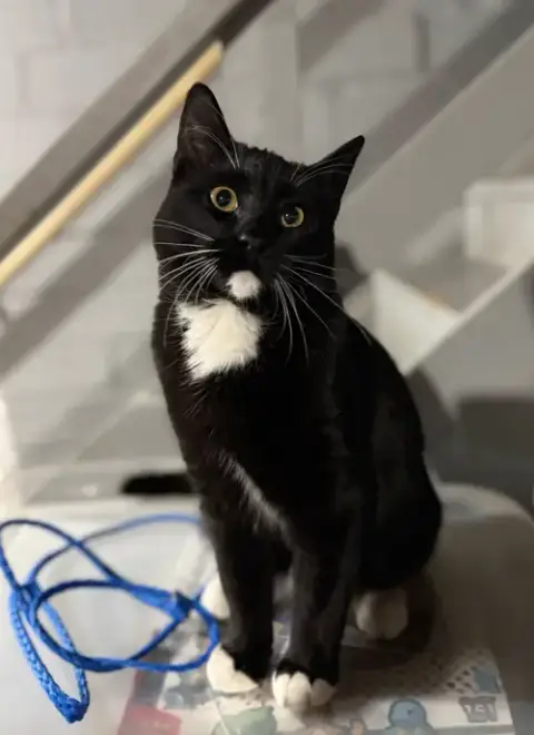 George